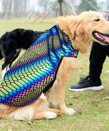 The Lumination Holographic Dog Vest