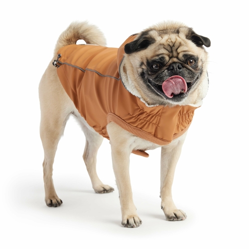 Insulated Raincoat - Hazel - Image 3