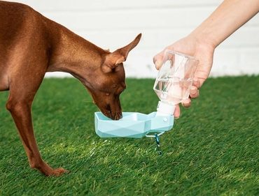 Water Bottle