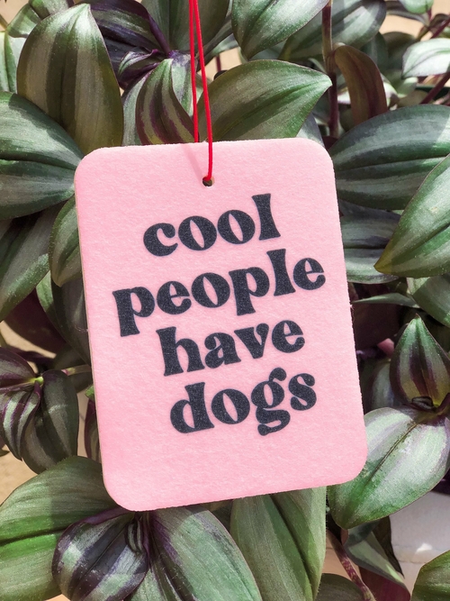 Cool People Air Freshener - Image 2