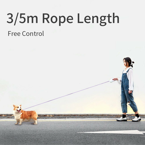 Automatic Retractable Lighting Dog Leash - Image 5