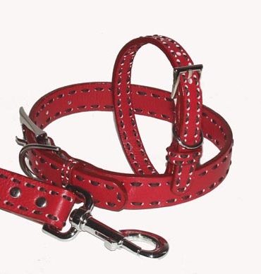 A Pets World 03011304-16 Leather Dog Collar- Red-Chocolate Saddle Stit