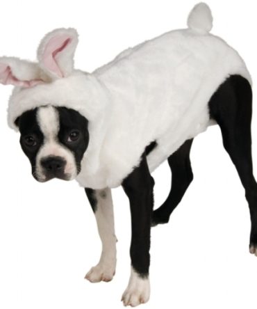 Rubies Costumes 210963 Bunny Pet Costume - Medium