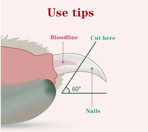 Pet Nail Scissors LED Cat Nail Clipper Trimmer - Image 3