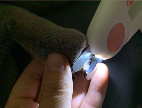 Pet Nail Scissors LED Cat Nail Clipper Trimmer - Image 5