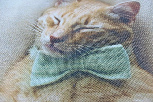 Cat | Cat Paw | Cat Pillow | Cute Cat | Cat Gifts | Cat Decor | Cat - Image 4