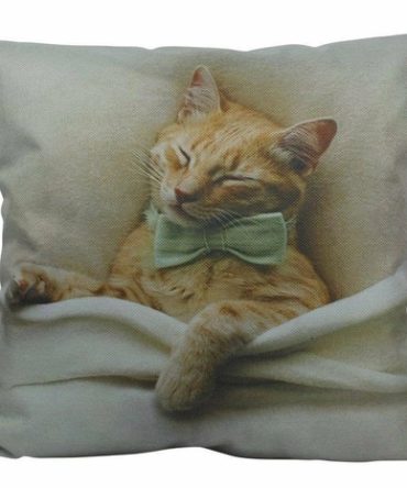 Cat | Cat Paw | Cat Pillow | Cute Cat | Cat Gifts | Cat Decor | Cat