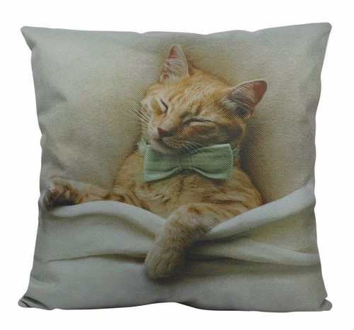 Cat | Cat Paw | Cat Pillow | Cute Cat | Cat Gifts | Cat Decor | Cat