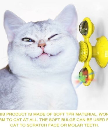 Cats Whirling LED Balls