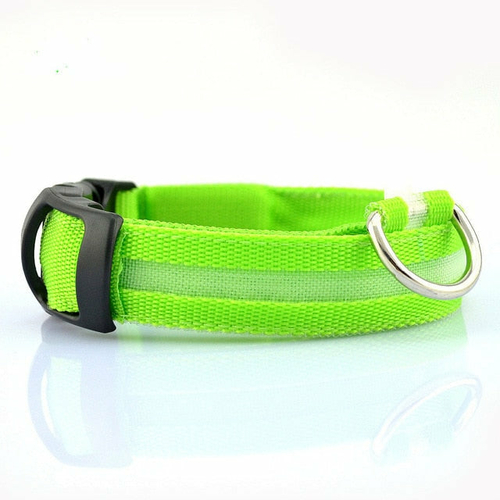 2 PCS Set Nylon LED Dog Collar - Image 7