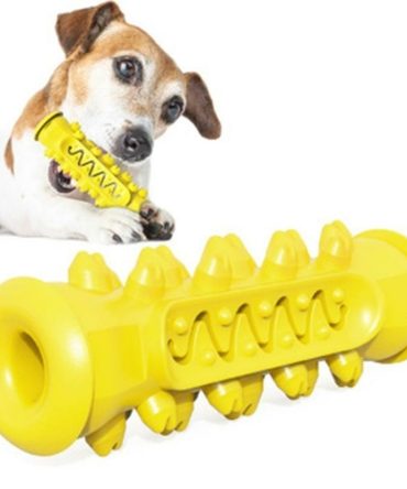 Chewing Toy for Dogs