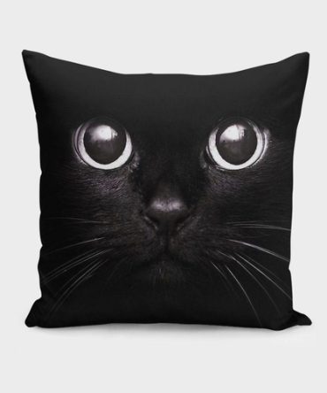 The Black Cat   Cushion/Pillow